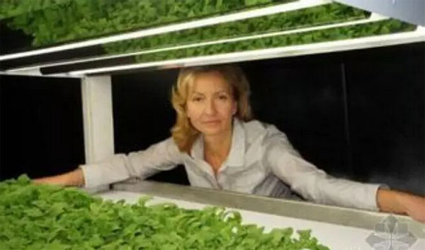 誰說創業一定得高科技，回家種菜也能發家致富