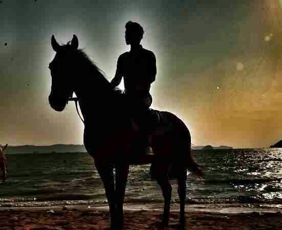 其實，哪里有真的白馬王子？