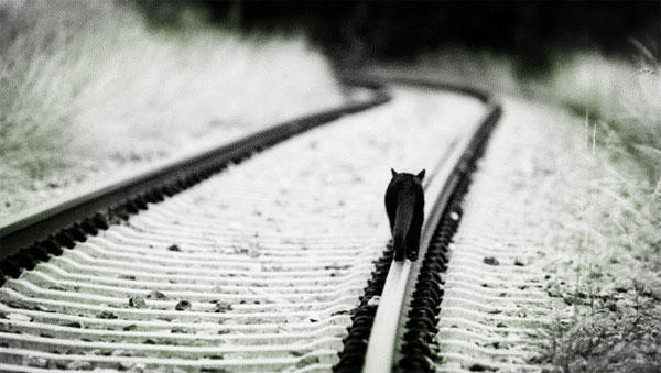 汽車服務(wù)O2O-Yocar周新楷：2014年，我們創(chuàng)業(yè)失敗了