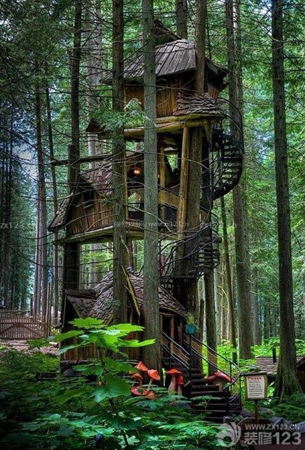 加拿大三層樹屋