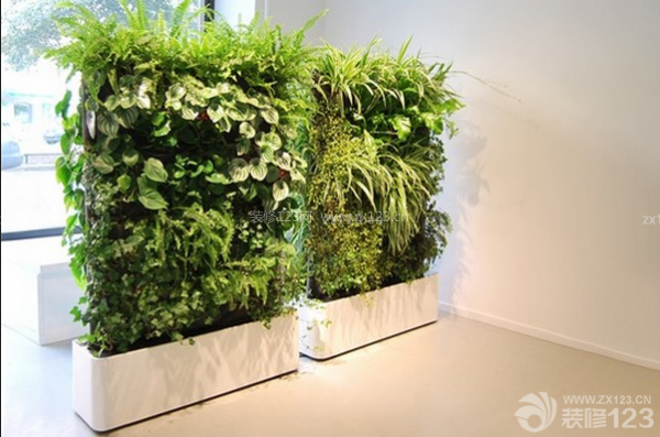 房子裝修后怎樣去味