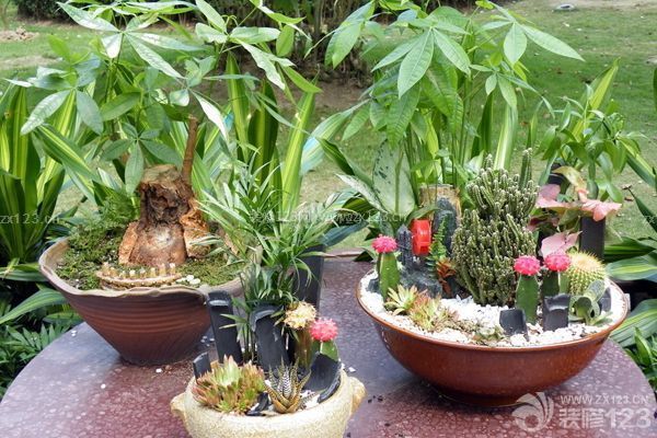 新房入住送什么